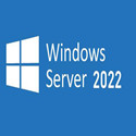 Windows Server 2022ٷԭ澵