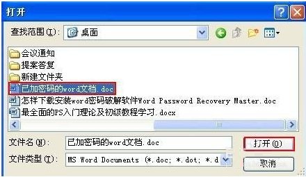 Word Password Recovery Masterͼ