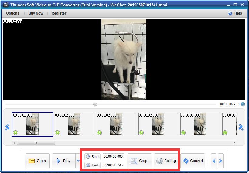 ThunderSoft Video to GIF Converter